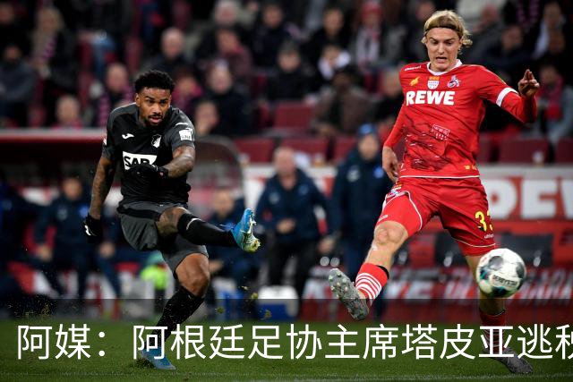 阿媒：阿根廷足协主席塔皮亚逃税上诉被驳回，确认将被起诉