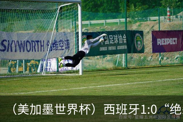 （美加墨世界杯）西班牙1:0“绝杀”葡萄牙 C罗结束世界杯征程